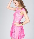 5165-pink-lace-mr-jones-finders-keepers-mini-dress-side.jpg